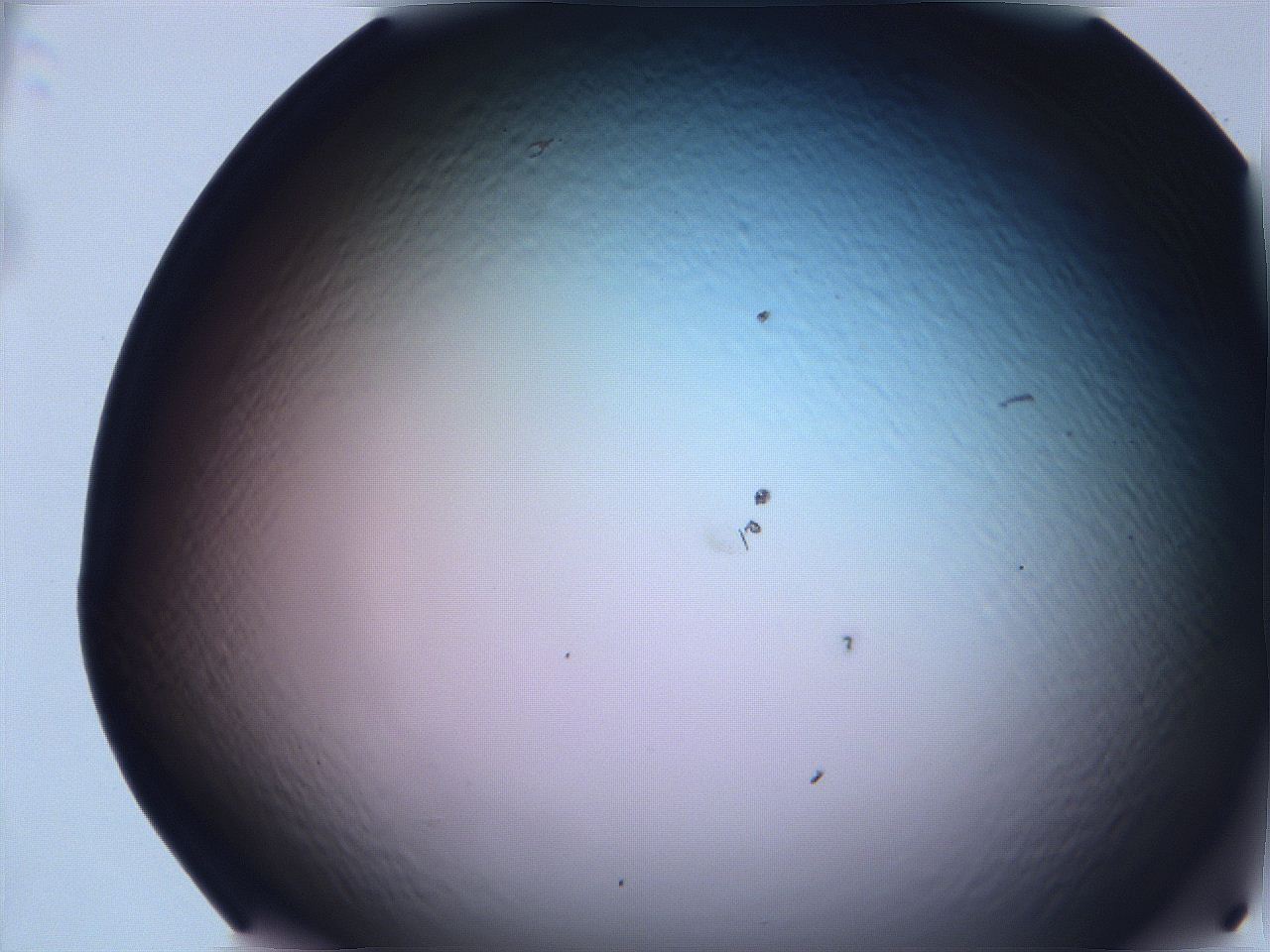 068v_G12_ImagerDefaults_0.jpg