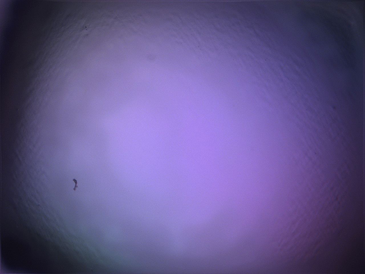 068v_H2_ImagerDefaults_0.jpg