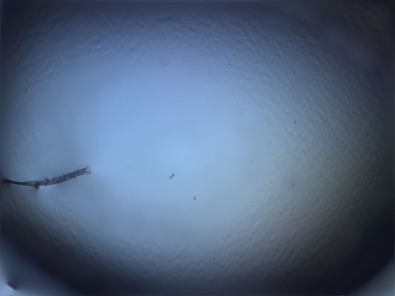 068v_H3_ImagerDefaults_0.jpg