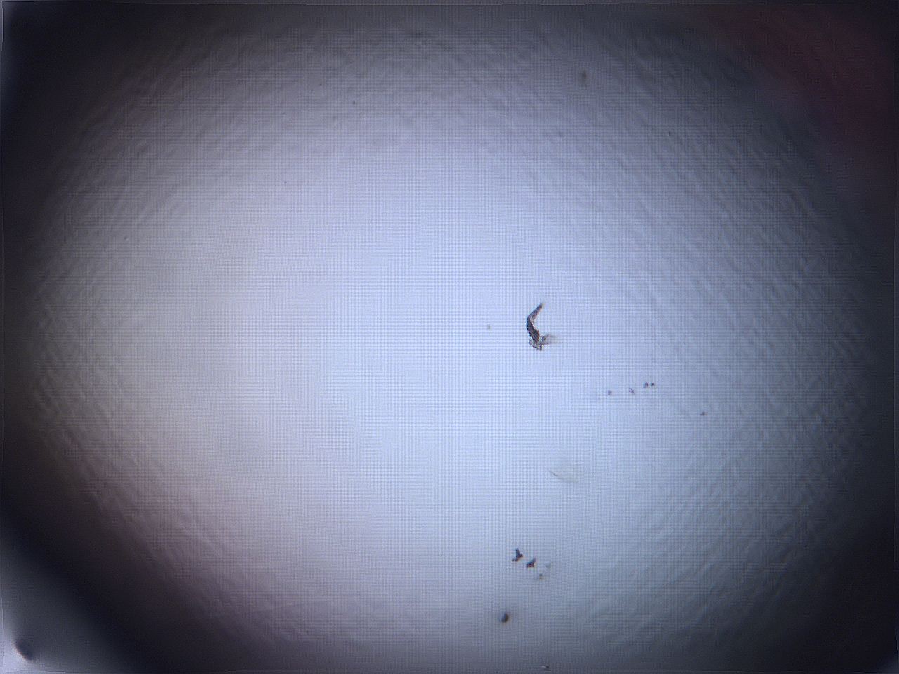068v_H4_ImagerDefaults_0.jpg