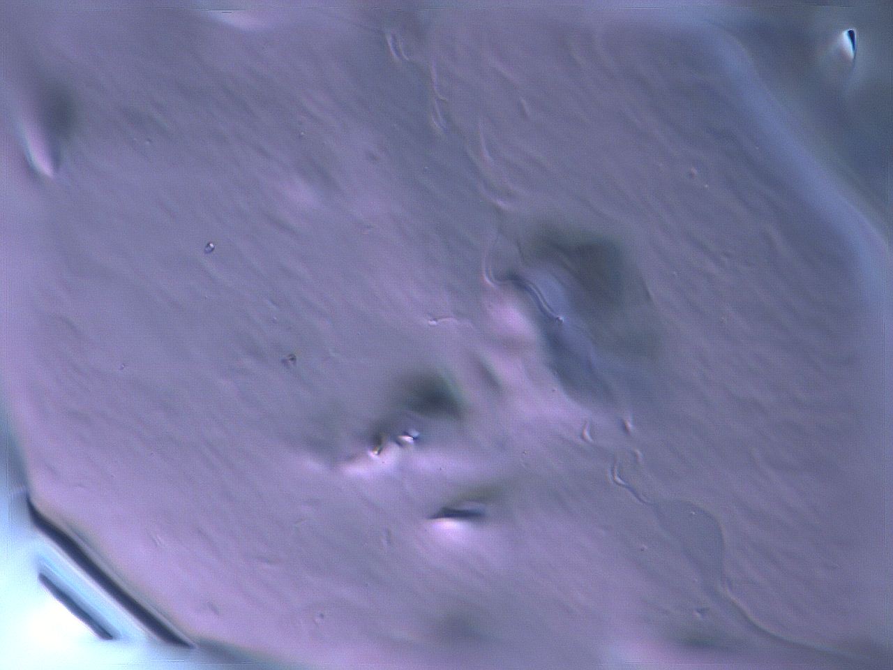 068v_H5_ImagerDefaults_m.jpg