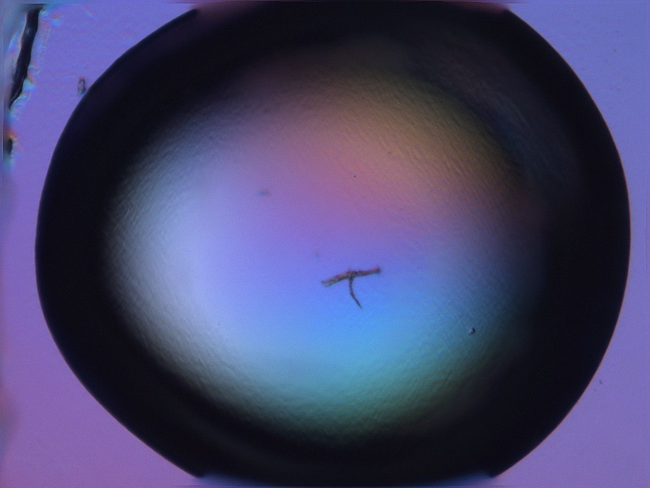 068v_H6_ImagerDefaults_0.jpg