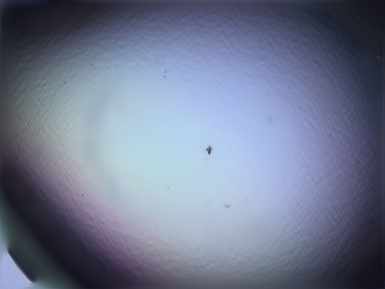068v_H8_ImagerDefaults_0.jpg