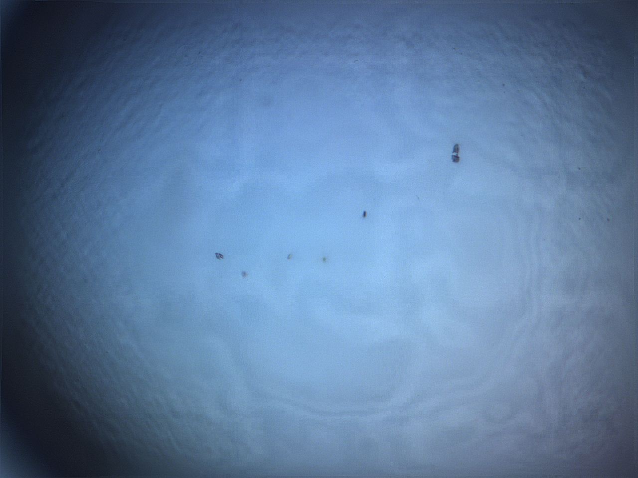 068v_H9_ImagerDefaults_0.jpg