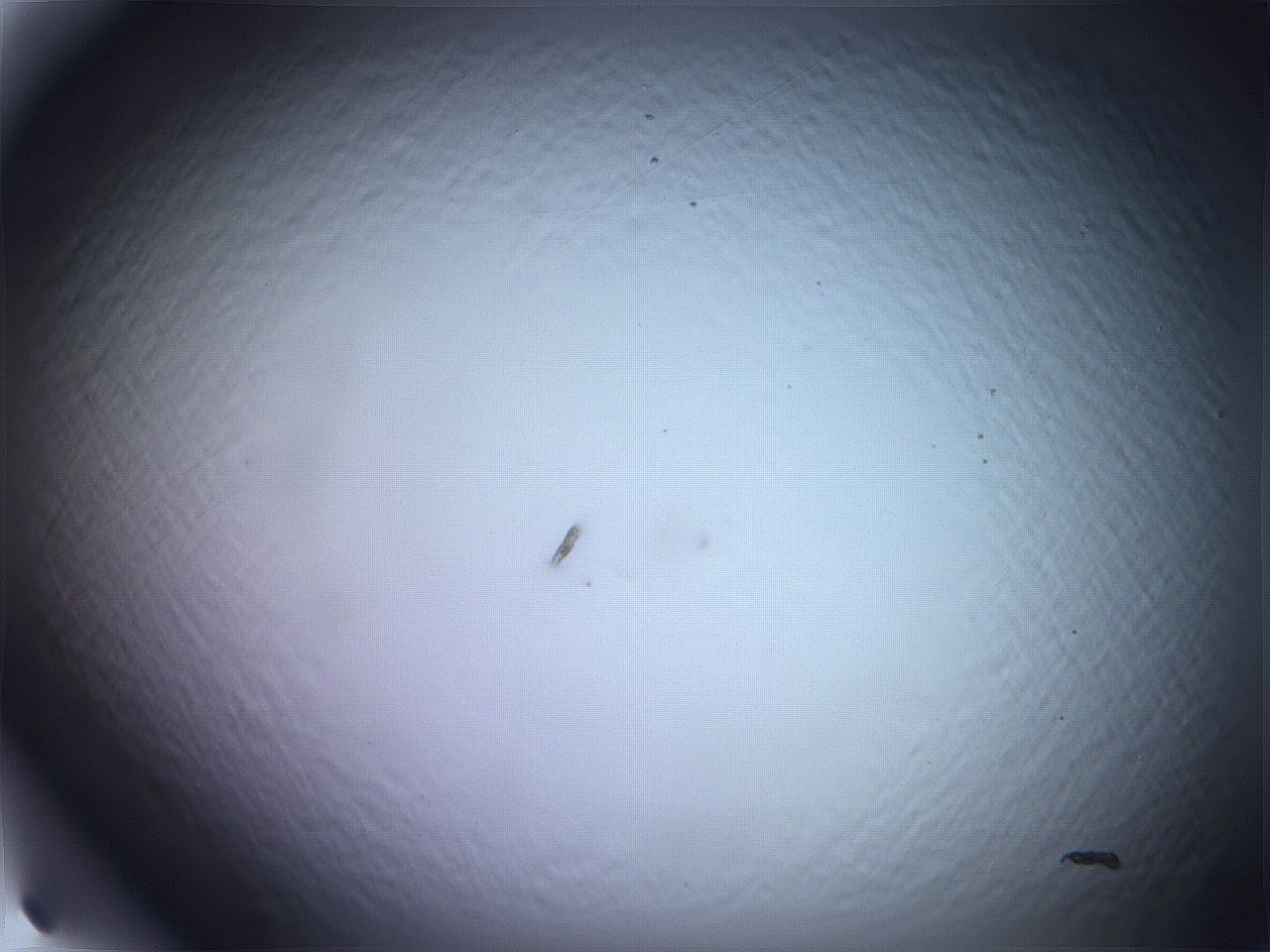 068v_H10_ImagerDefaults_0.jpg