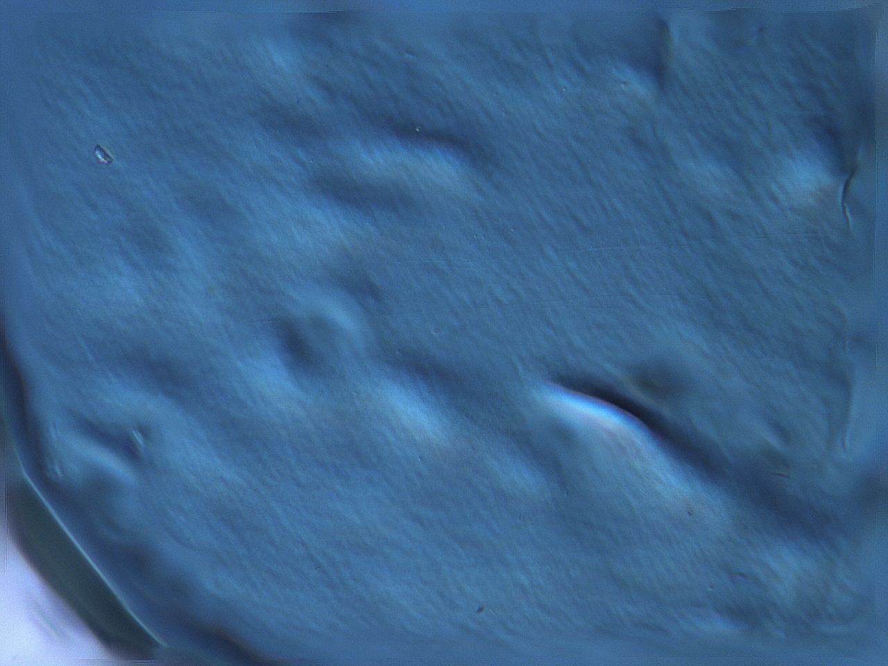068v_H12_ImagerDefaults_m.jpg