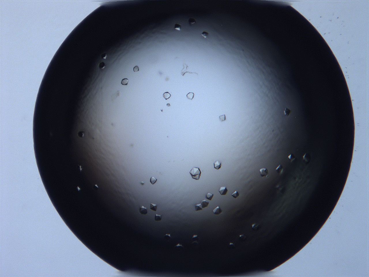 068x_A8_ImagerDefaults_9.jpg