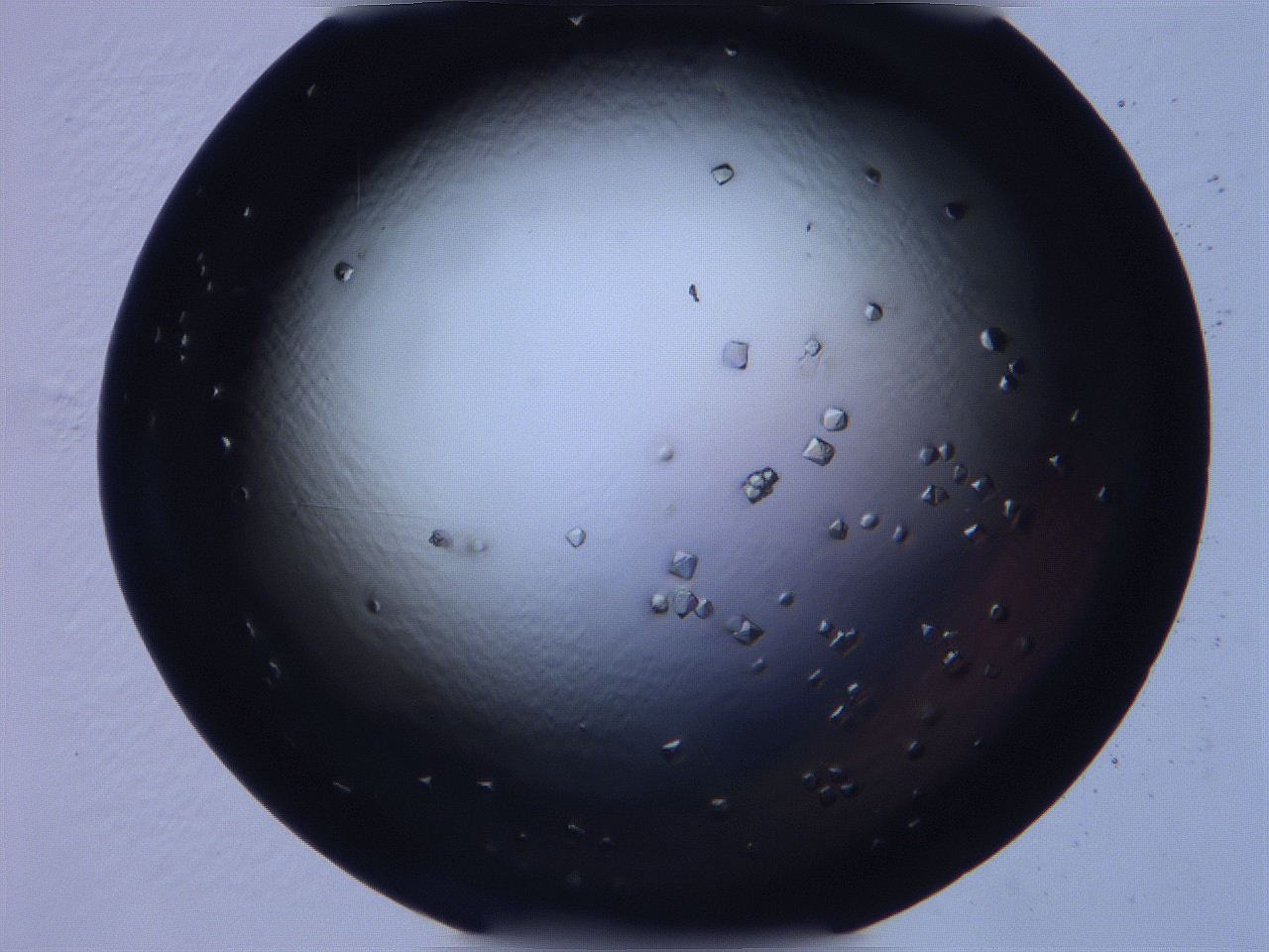 068x_A11_ImagerDefaults_9.jpg