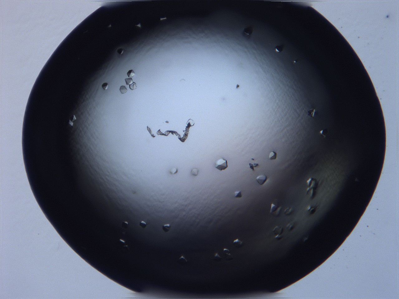 068x_A12_ImagerDefaults_9.jpg