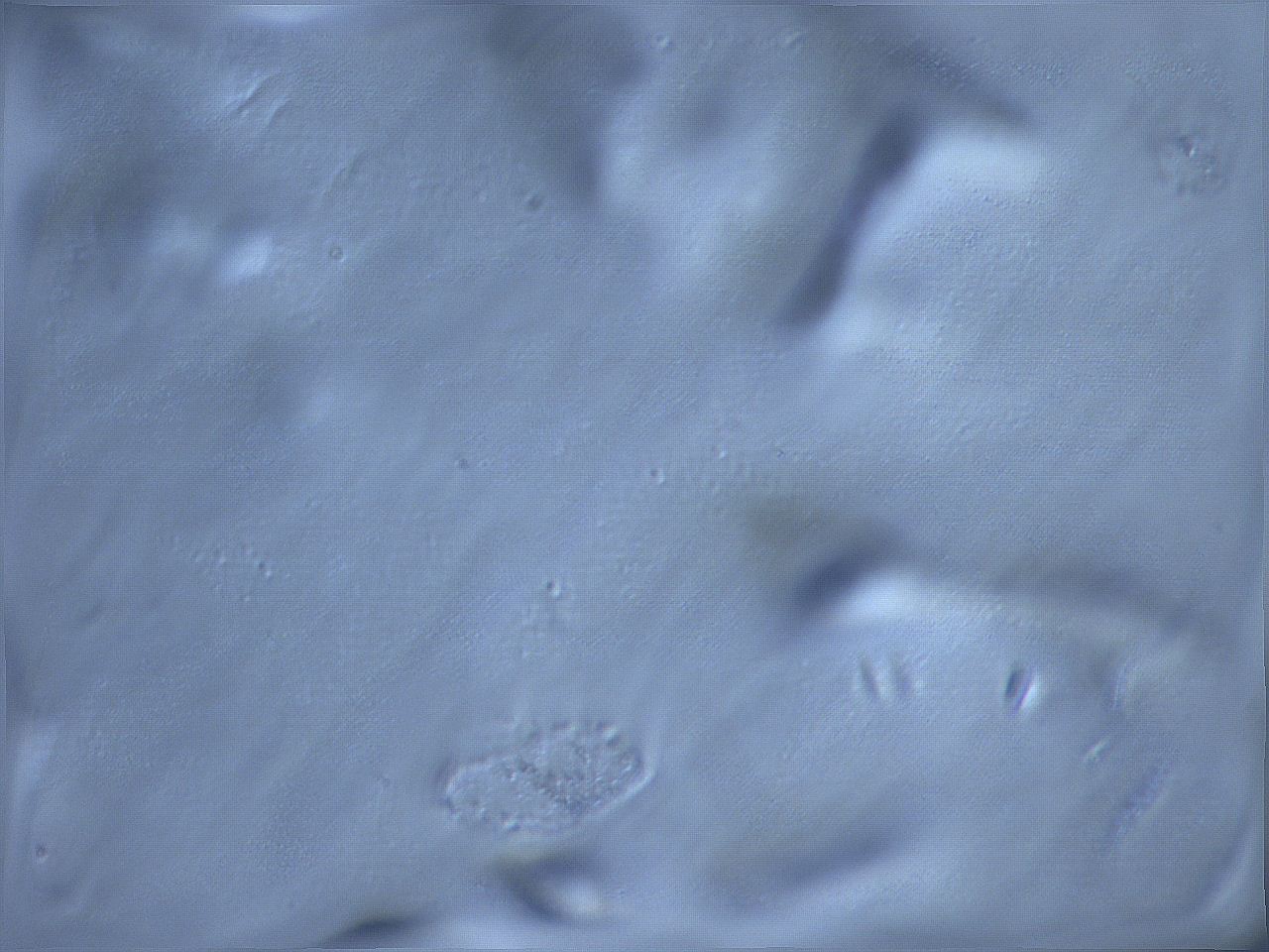 068x_B1_ImagerDefaults_m.jpg
