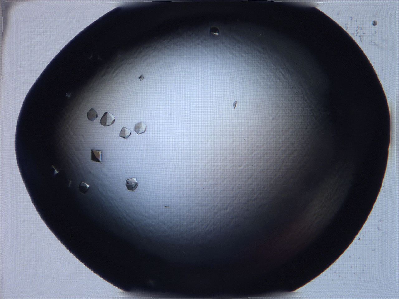 068x_B5_ImagerDefaults_9.jpg