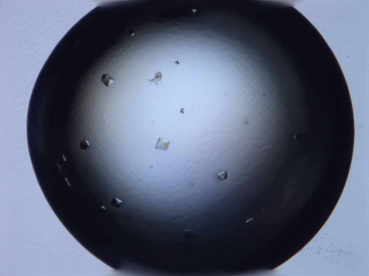 068x_B8_ImagerDefaults_9.jpg