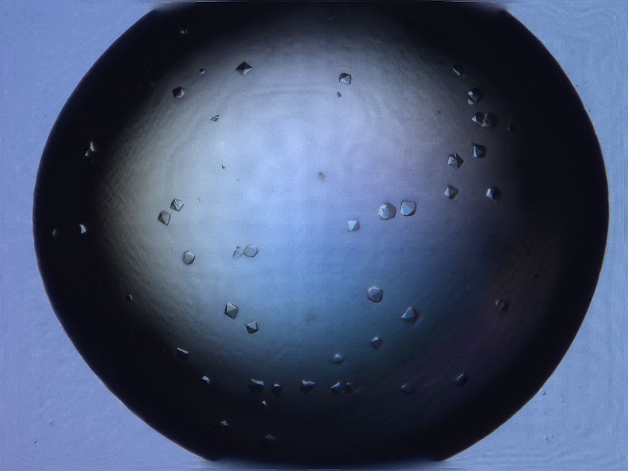068x_B9_ImagerDefaults_9.jpg