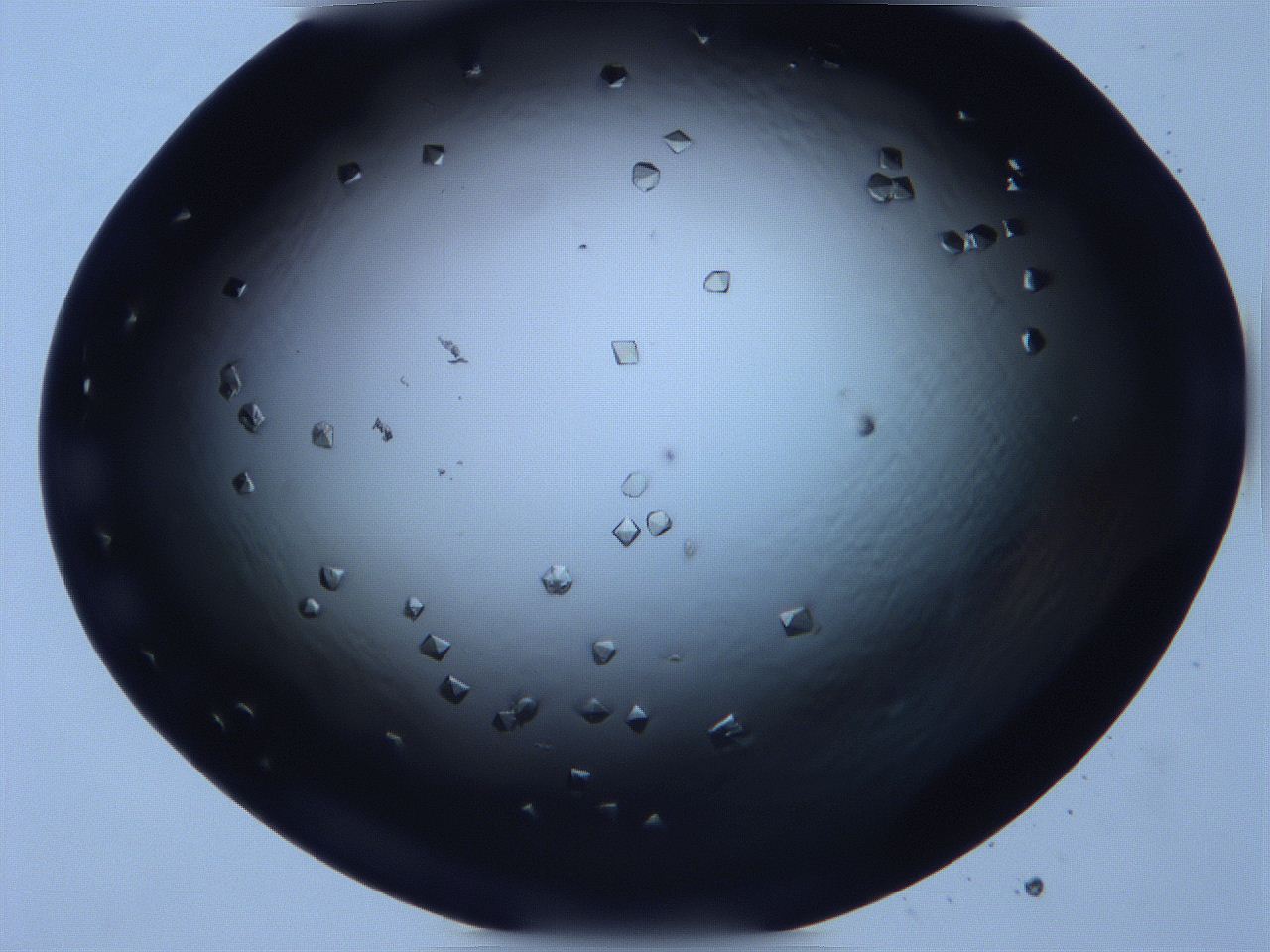 068x_B10_ImagerDefaults_9.jpg