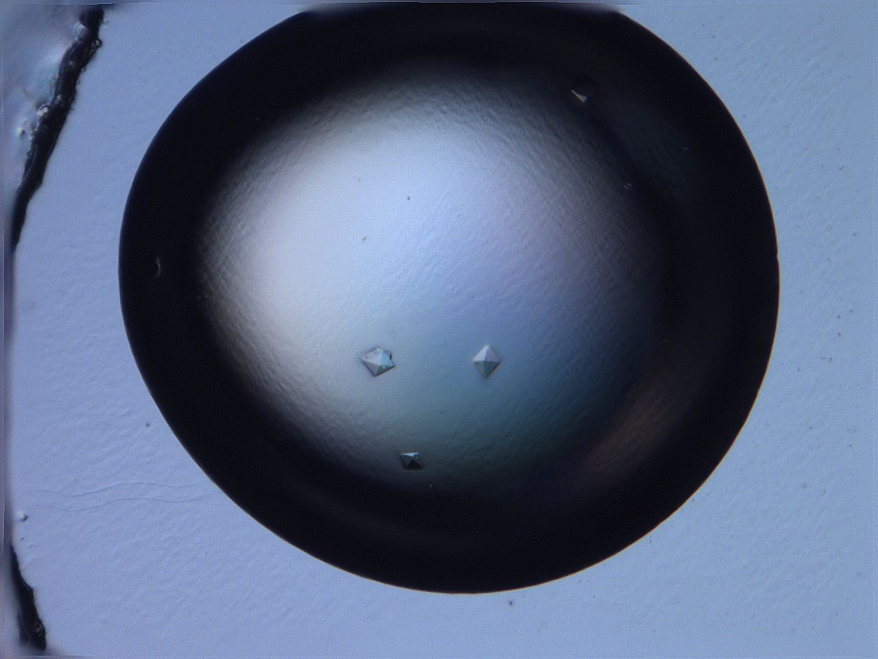068x_C3_ImagerDefaults_9.jpg
