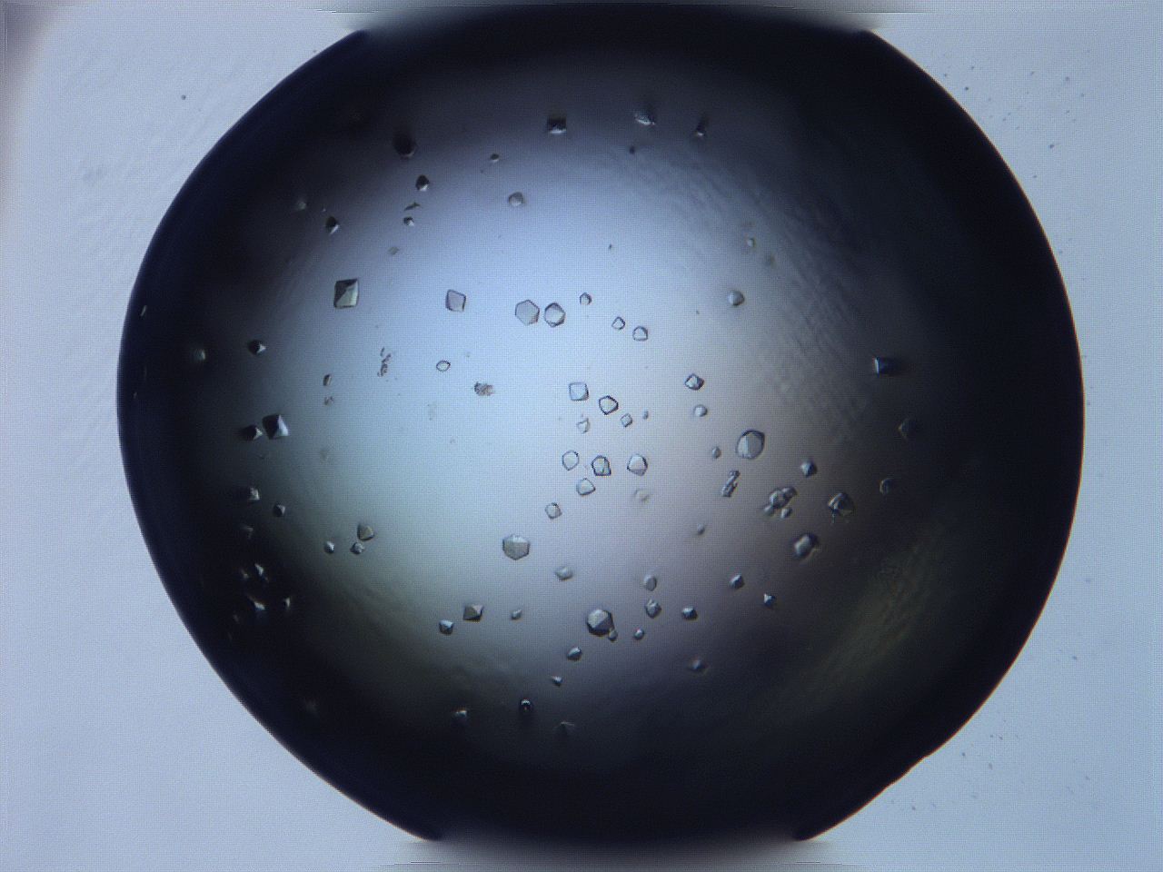 068x_C4_ImagerDefaults_9.jpg