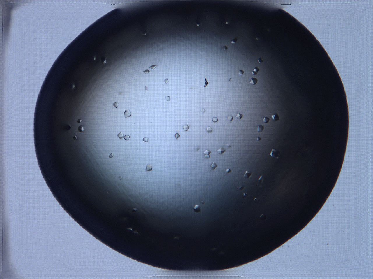068x_C5_ImagerDefaults_9.jpg