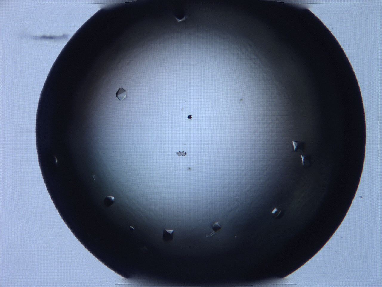 068x_C7_ImagerDefaults_9.jpg