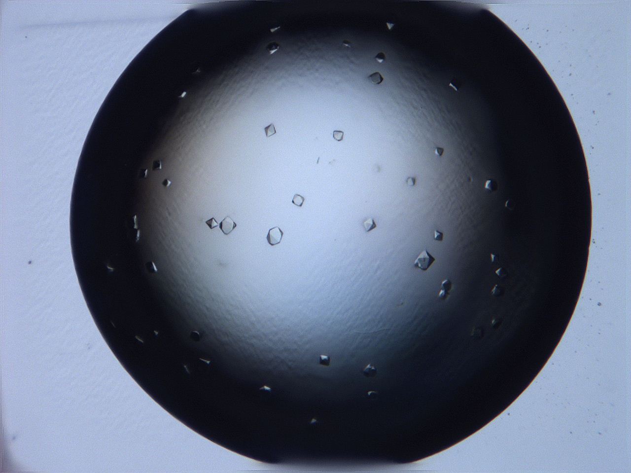 068x_C8_ImagerDefaults_9.jpg