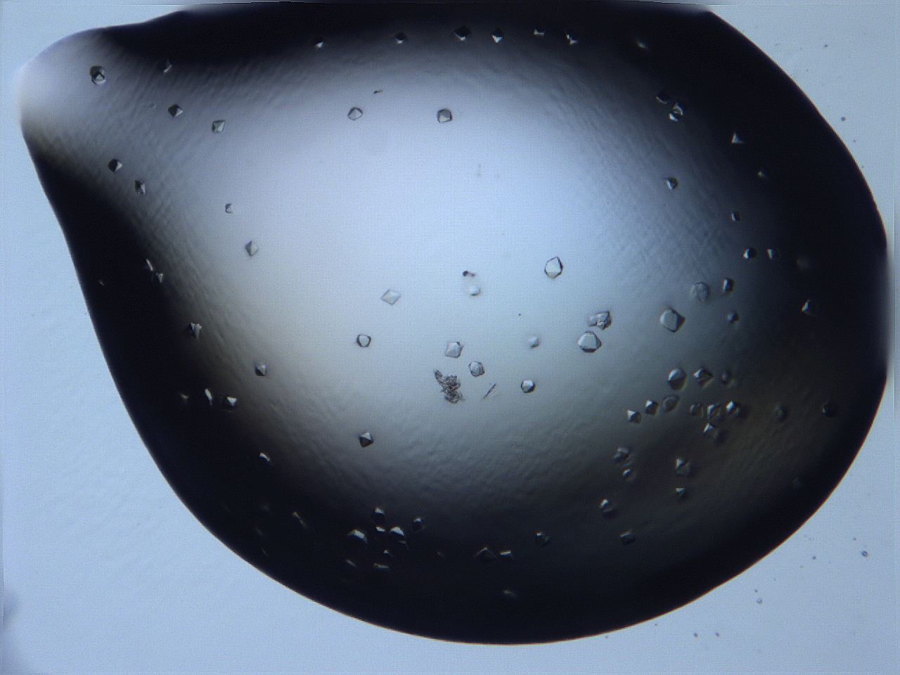 068x_C10_ImagerDefaults_9.jpg