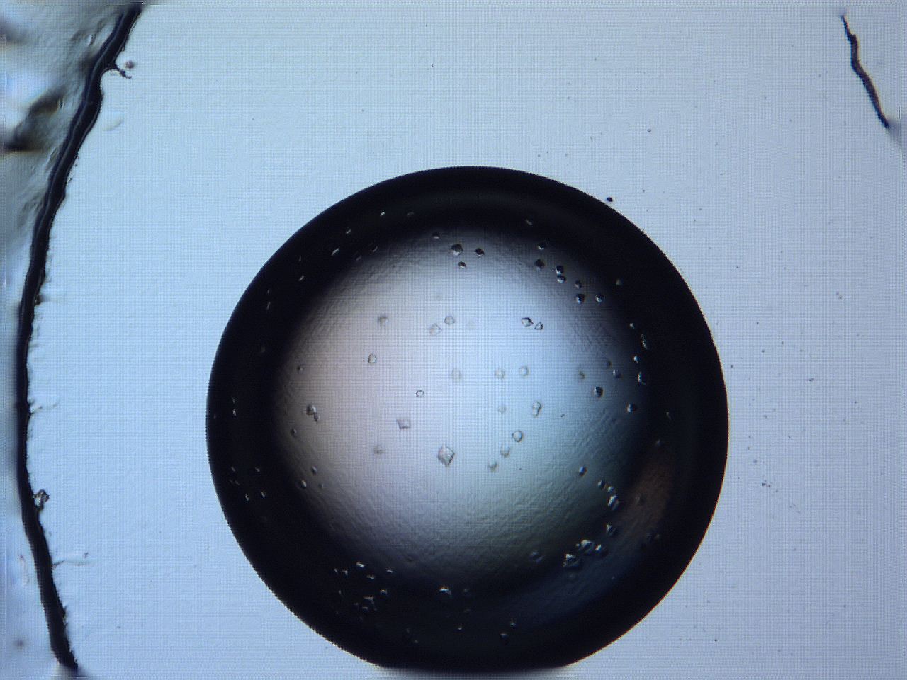 068x_C11_ImagerDefaults_9.jpg