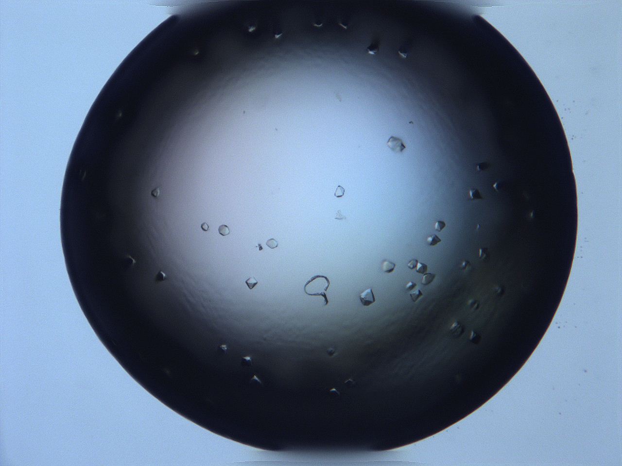 068x_C12_ImagerDefaults_9.jpg