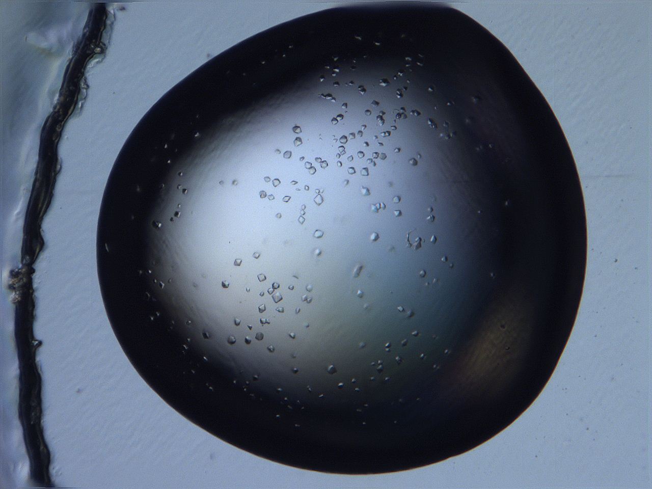 068x_D3_ImagerDefaults_9.jpg