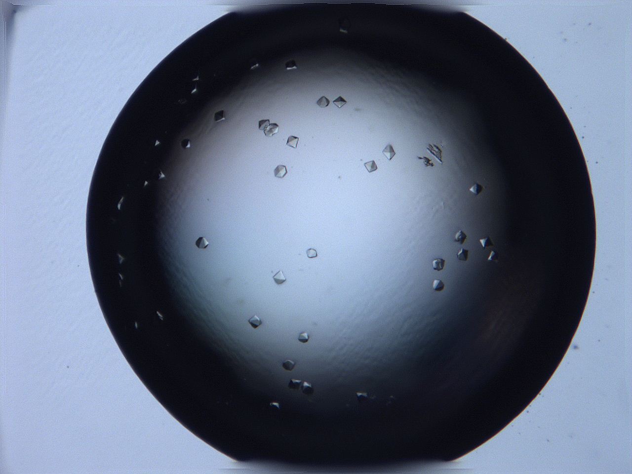 068x_D7_ImagerDefaults_9.jpg