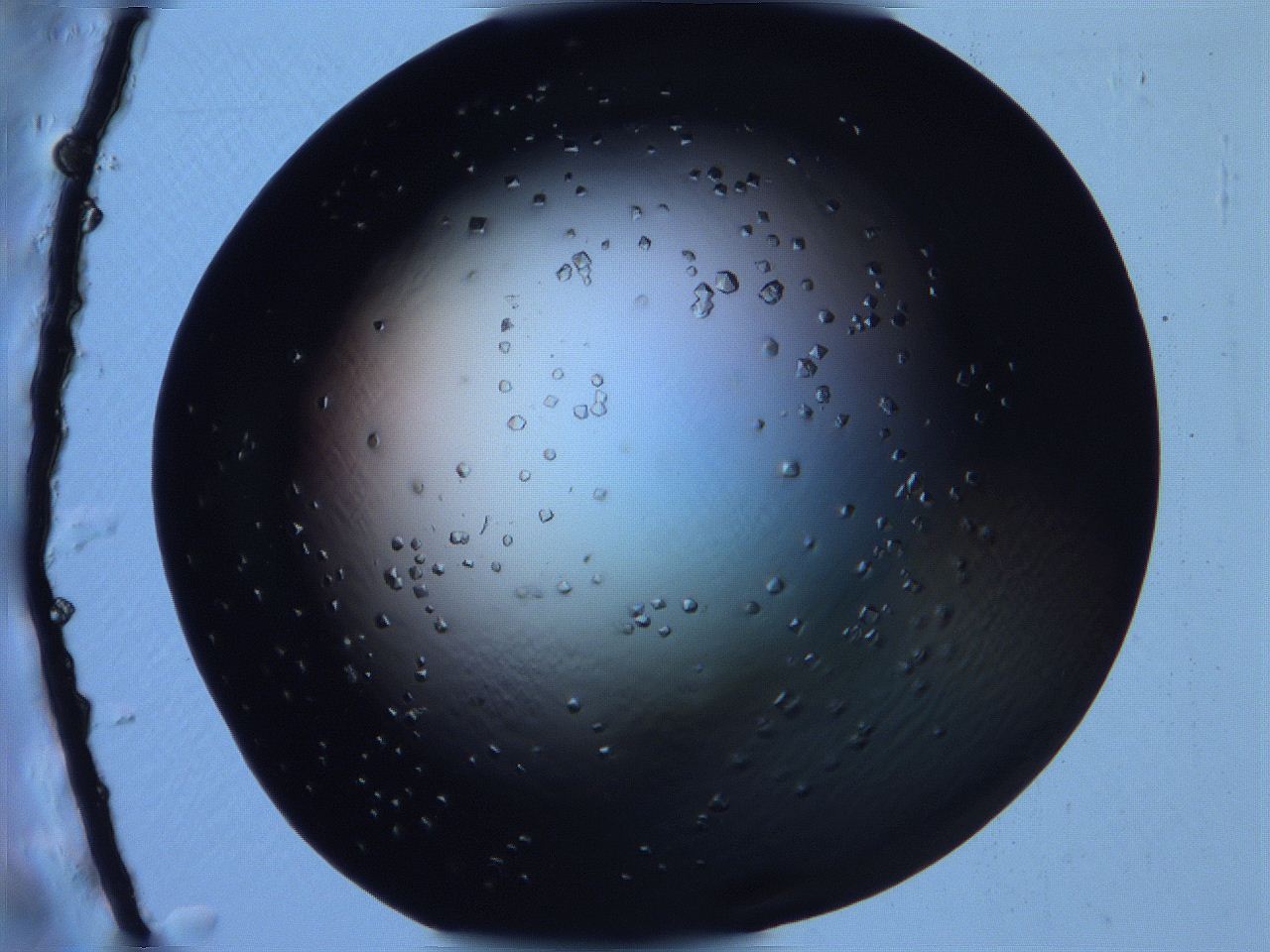 068x_D9_ImagerDefaults_9.jpg