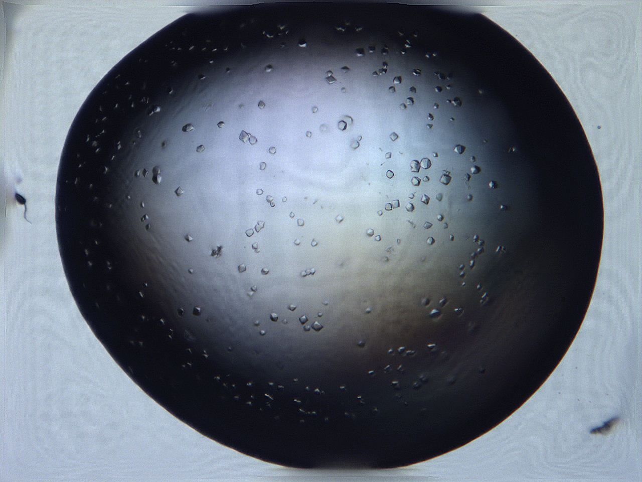 068x_D10_ImagerDefaults_9.jpg