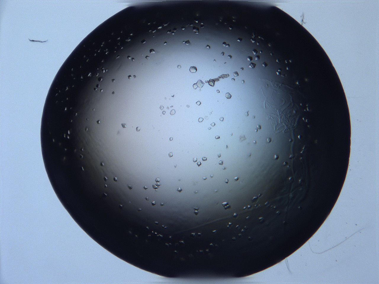 068x_D11_ImagerDefaults_9.jpg