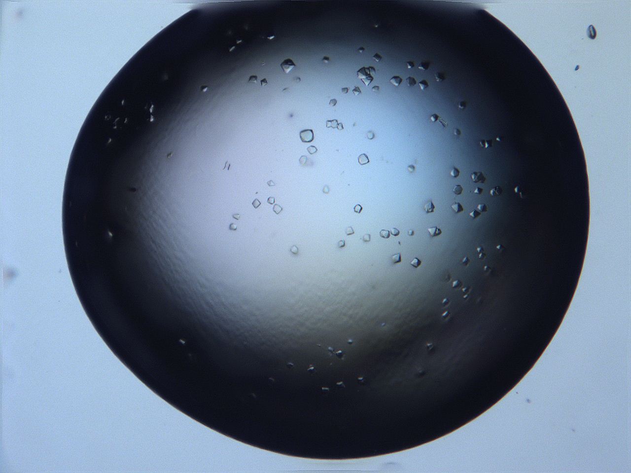 068x_D12_ImagerDefaults_9.jpg