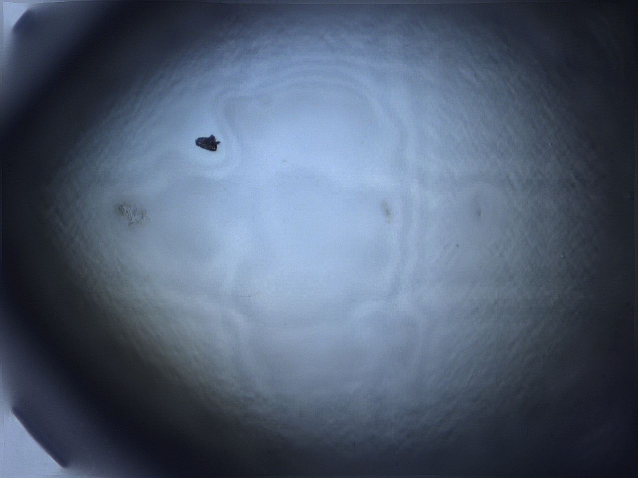 068x_E2_ImagerDefaults_0.jpg