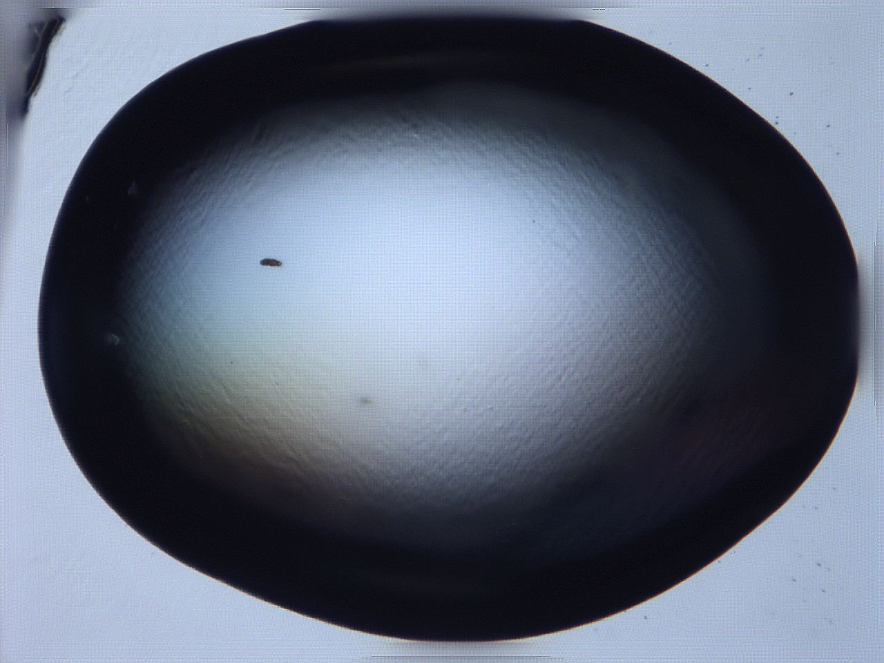 068x_E4_ImagerDefaults_0.jpg