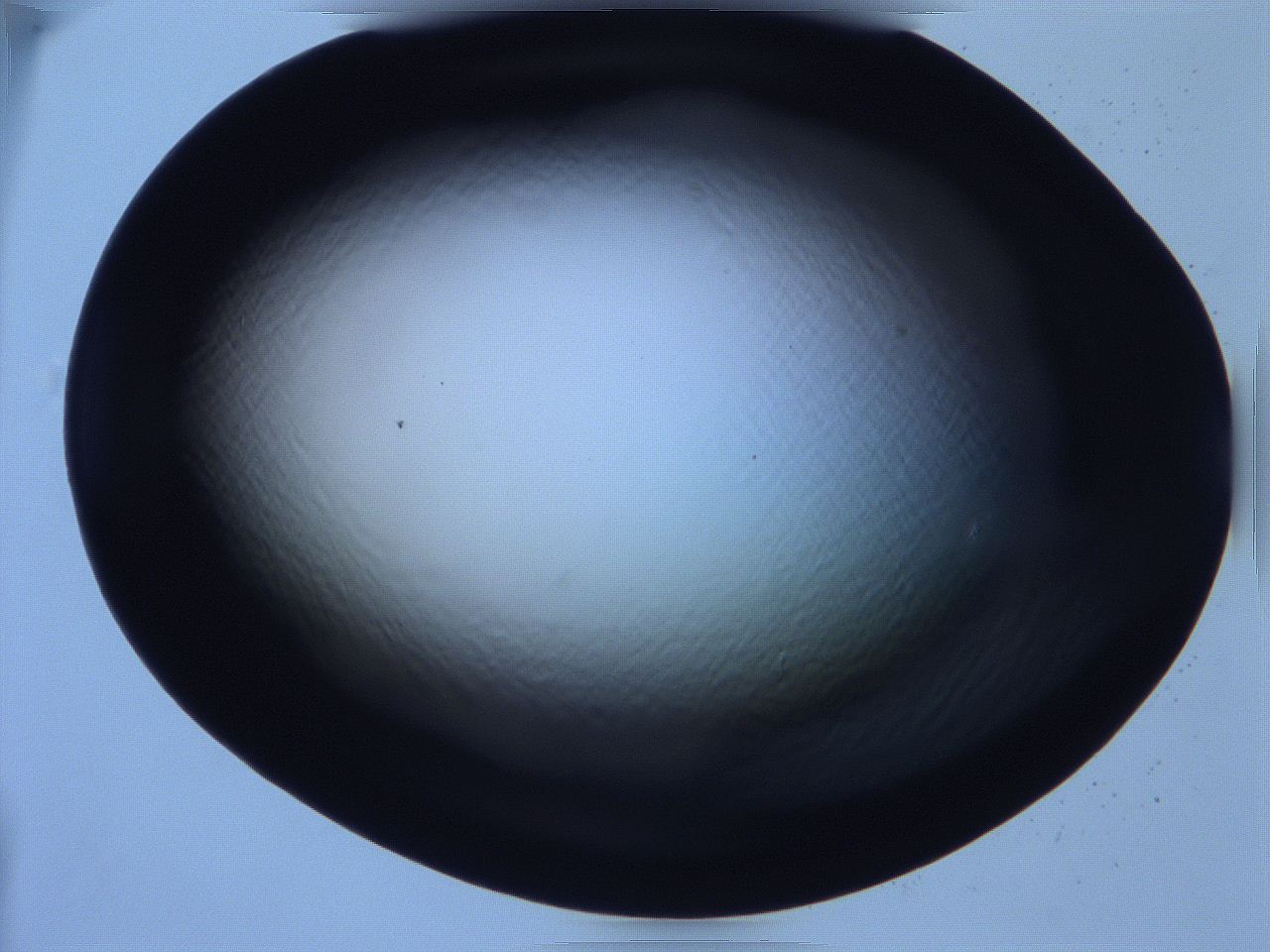 068x_E6_ImagerDefaults_0.jpg