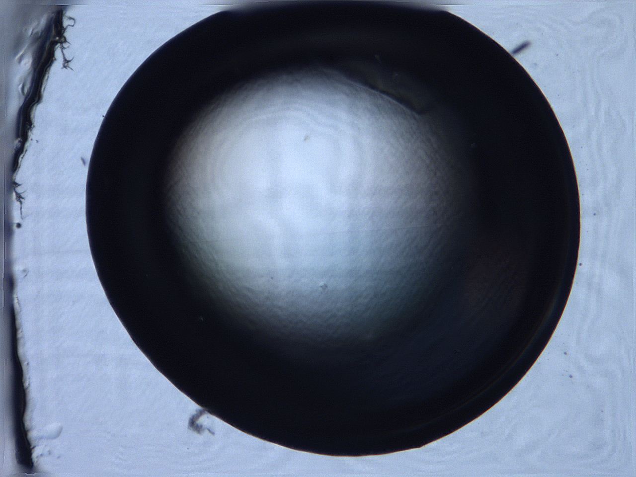 068x_E8_ImagerDefaults_0.jpg