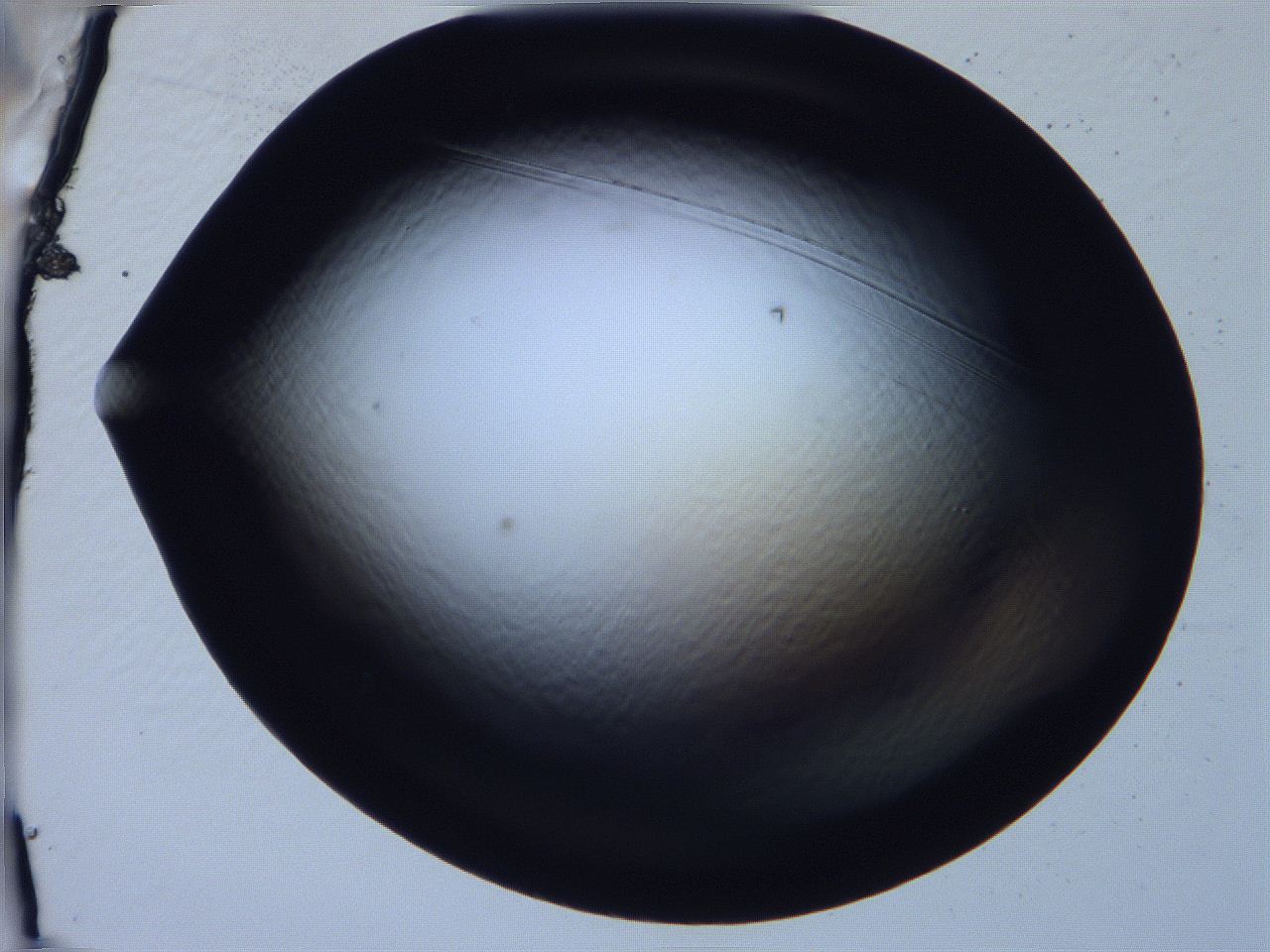 068x_E10_ImagerDefaults_0.jpg