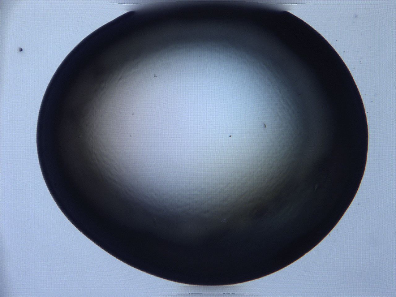 068x_E11_ImagerDefaults_0.jpg