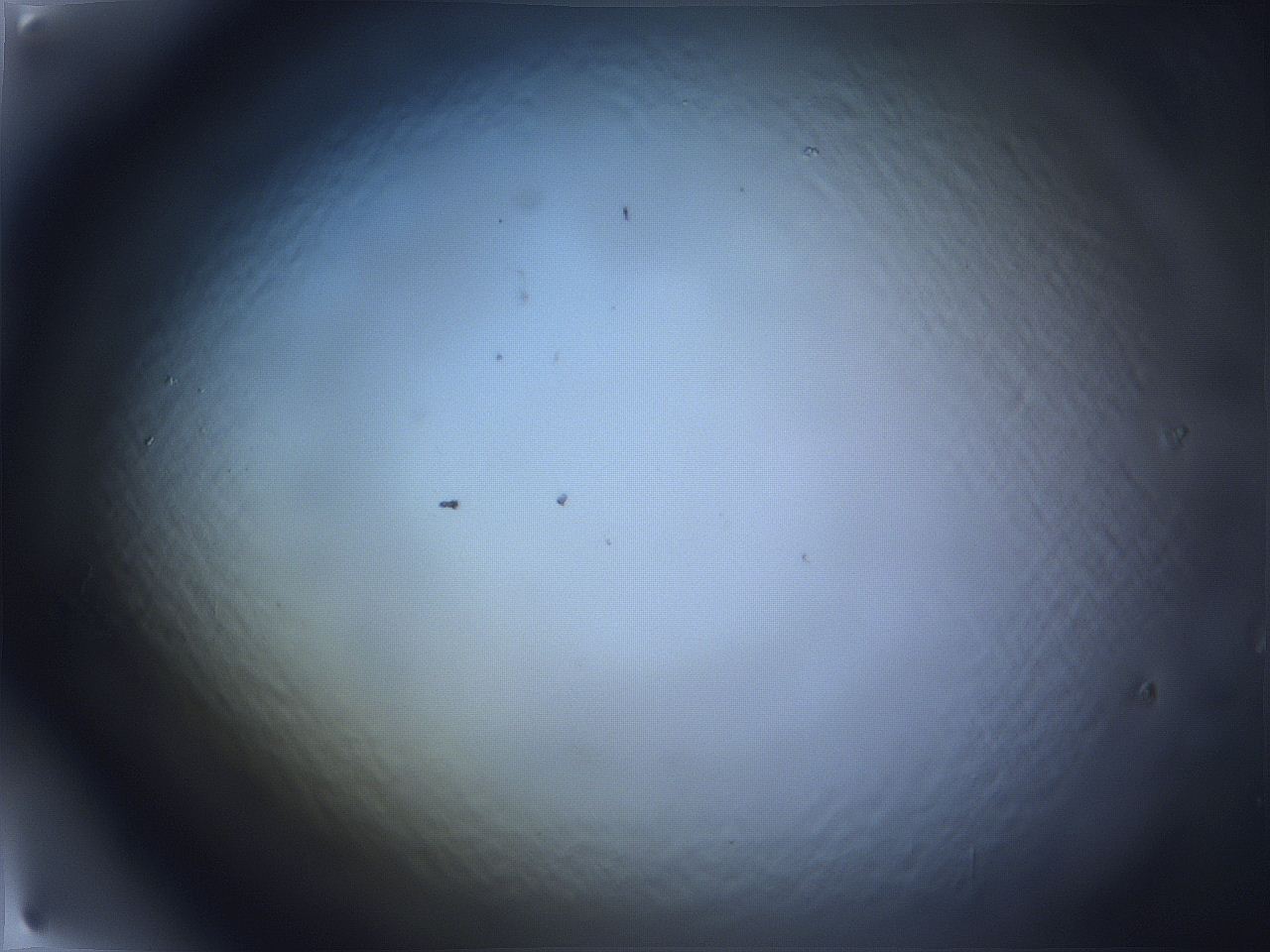 068x_F1_ImagerDefaults_0.jpg