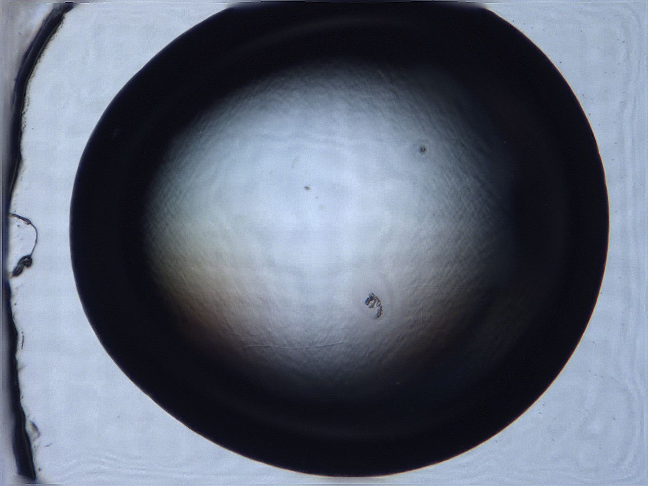 068x_F4_ImagerDefaults_0.jpg