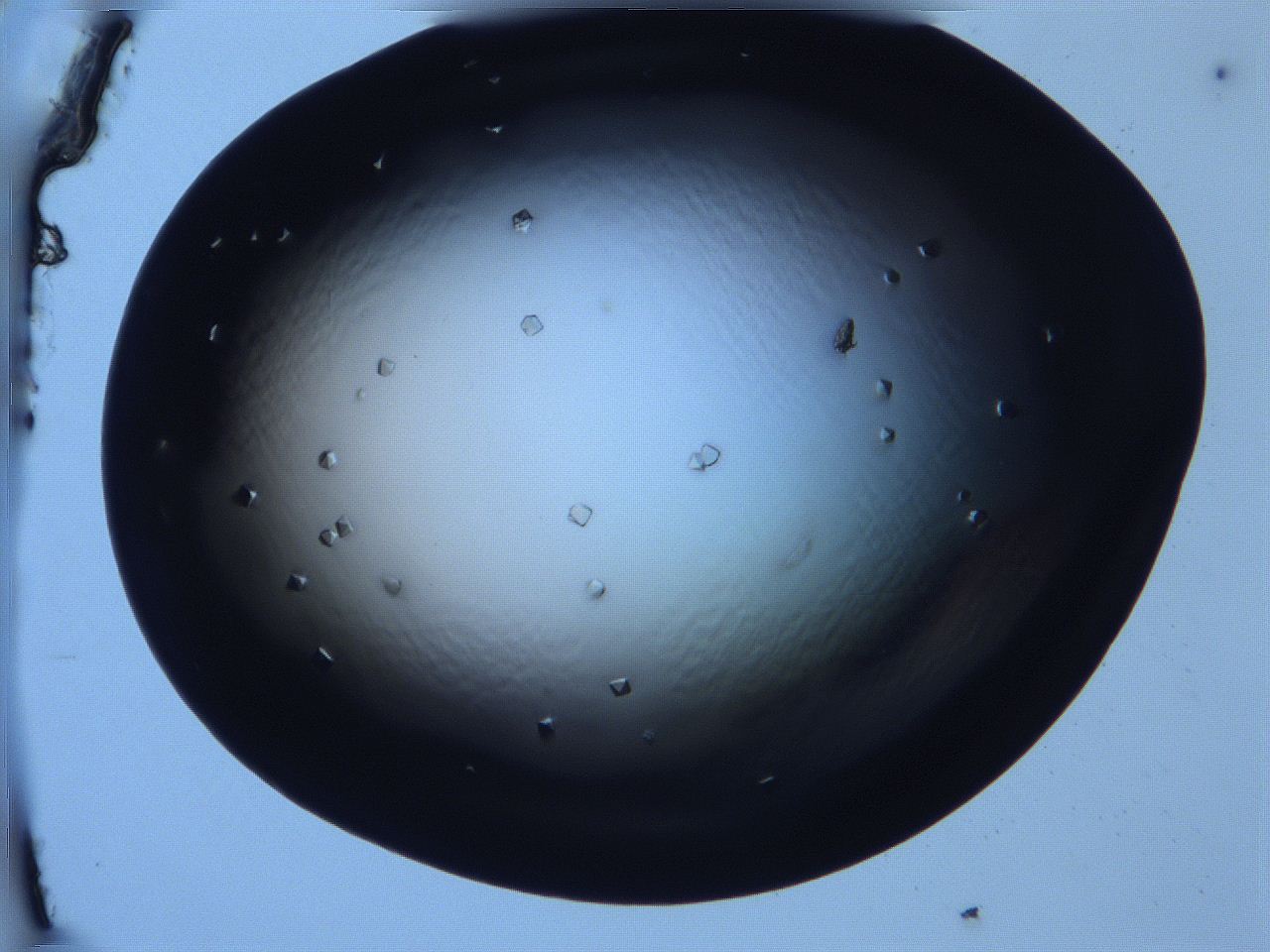 068x_F6_ImagerDefaults_9.jpg