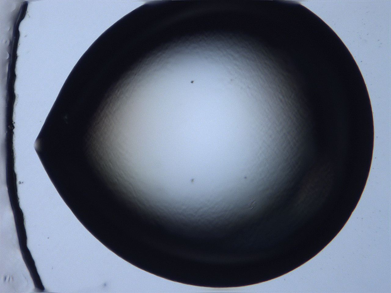 068x_F8_ImagerDefaults_0.jpg