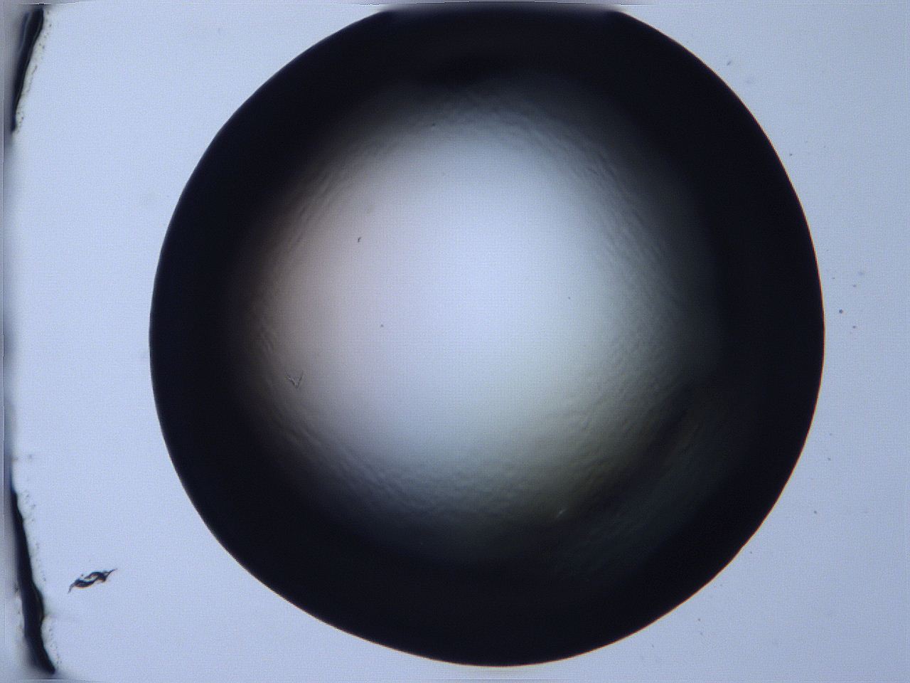 068x_F11_ImagerDefaults_0.jpg