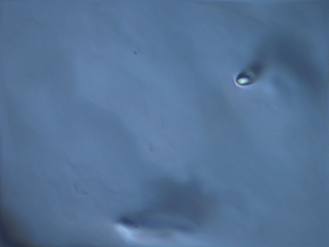 068x_G7_ImagerDefaults_m.jpg