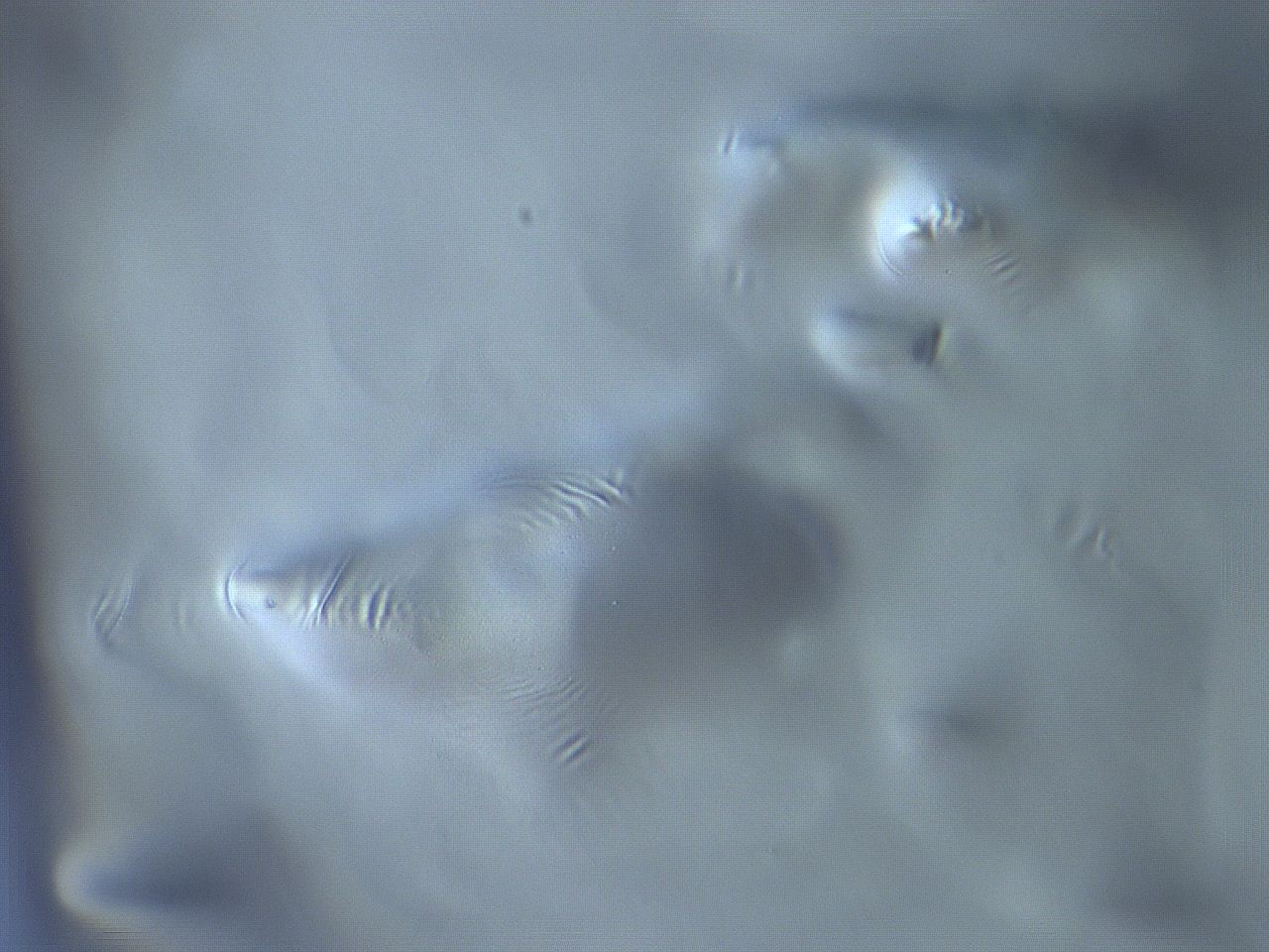 068x_G9_ImagerDefaults_m.jpg