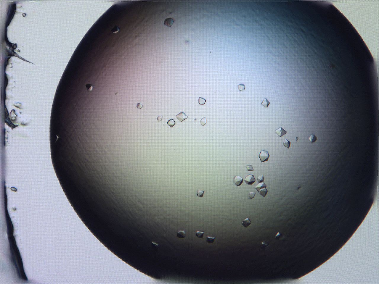 068x_G12_ImagerDefaults_9.jpg