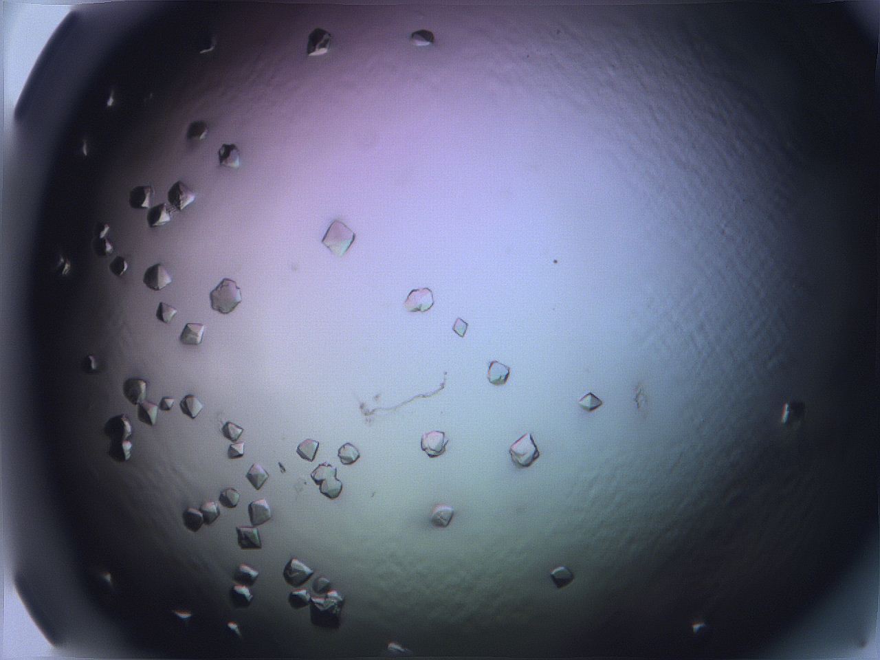 068x_H5_ImagerDefaults_9.jpg