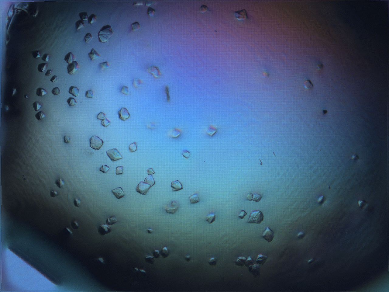 068x_H6_ImagerDefaults_9.jpg