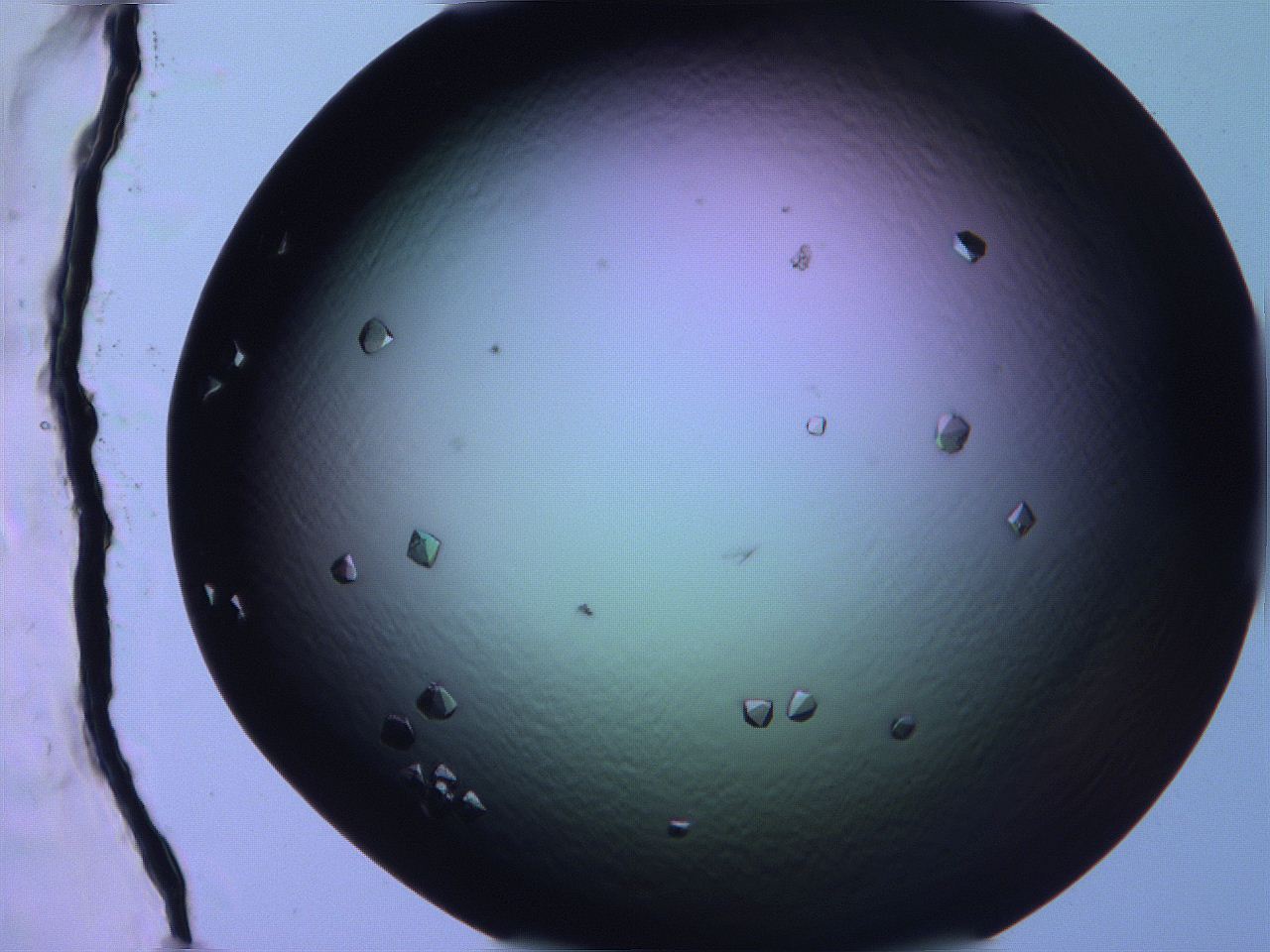 068x_H11_ImagerDefaults_9.jpg