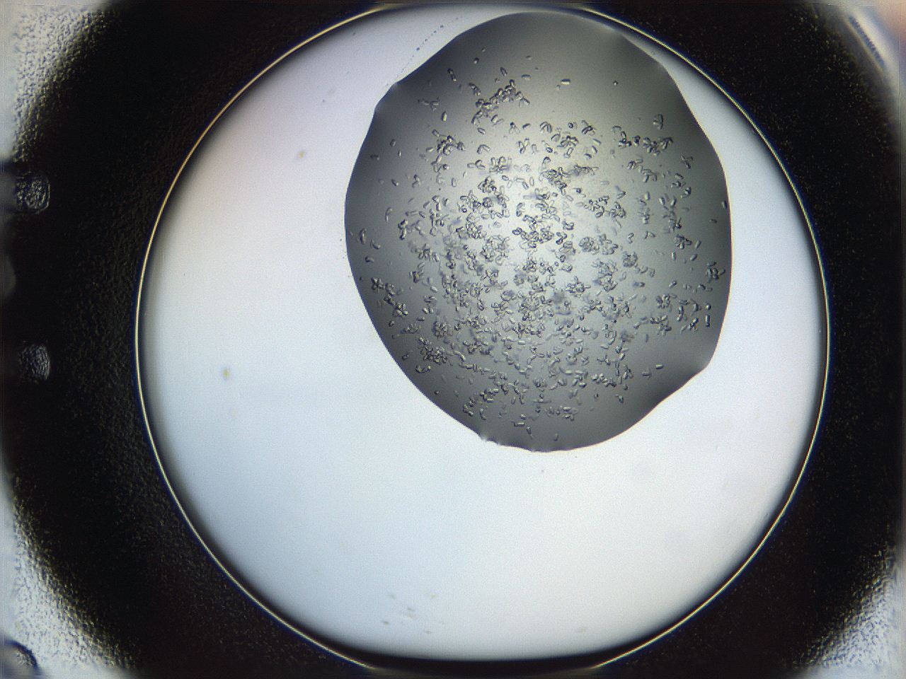 0694_E9_ImagerDefaults_8.jpg